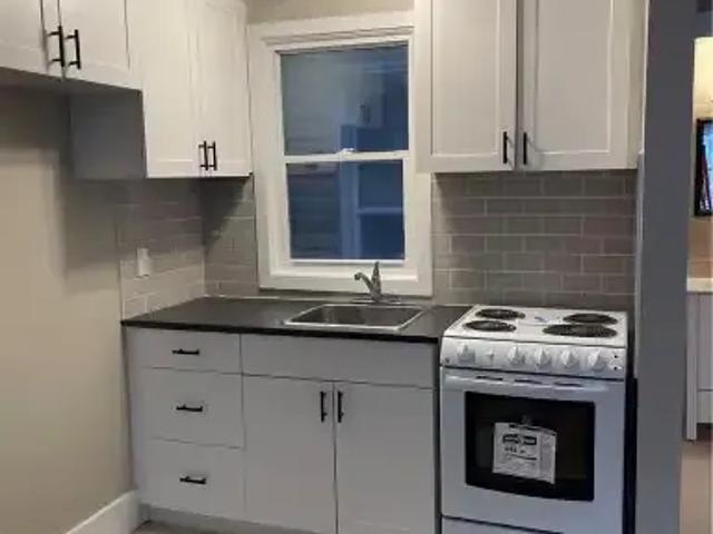1 Bedroom Apartment Kitchener ON 104888902