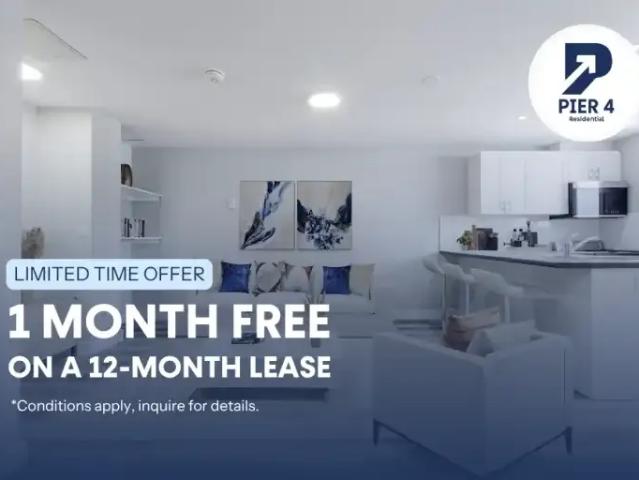 1 Bedroom Apartment Kitchener ON 104940320