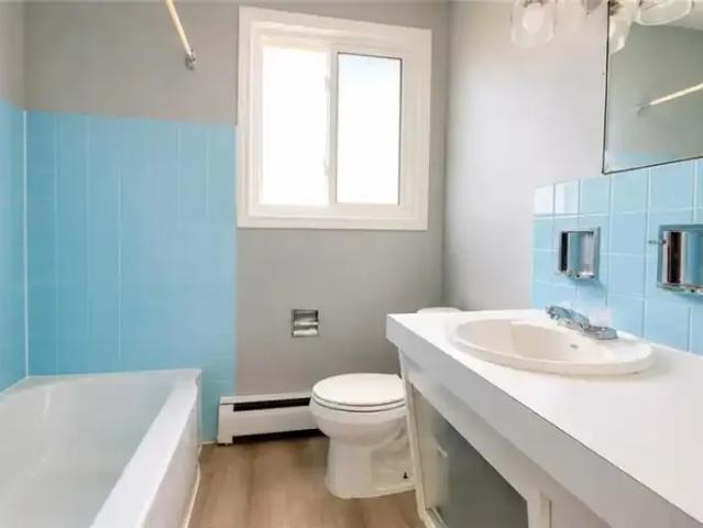 1 Bedroom Apartment Kitchener ON LS103011961