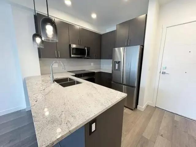 1 Bedroom Apartment Langley BC 104598474