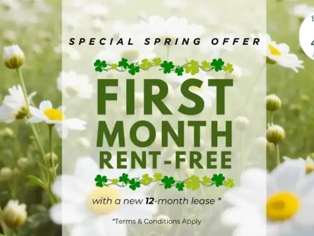 1 Bedroom Apartment Lindsay ON 100759209