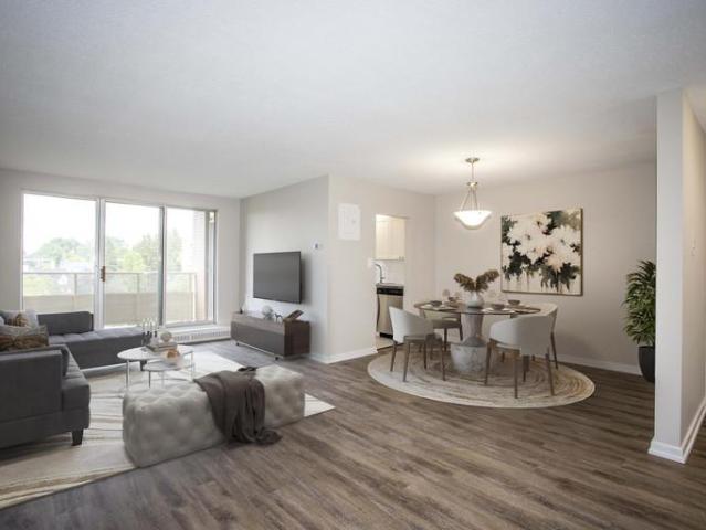 1 Bedroom Apartment London ON 93253821