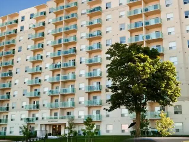 1 Bedroom Apartment London ON 98421260