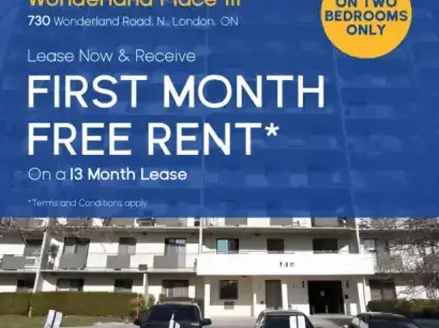 1 Bedroom Apartment London ON 98785158