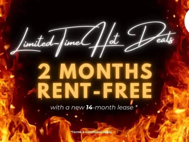 1 Bedroom Apartment London ON 99752989