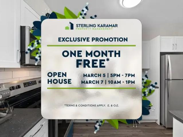 1 Bedroom Apartment London ON 99933699