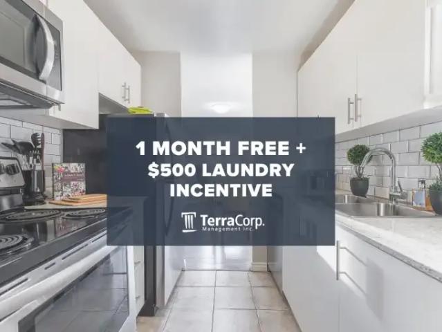 1 Bedroom Apartment London ON 100442121