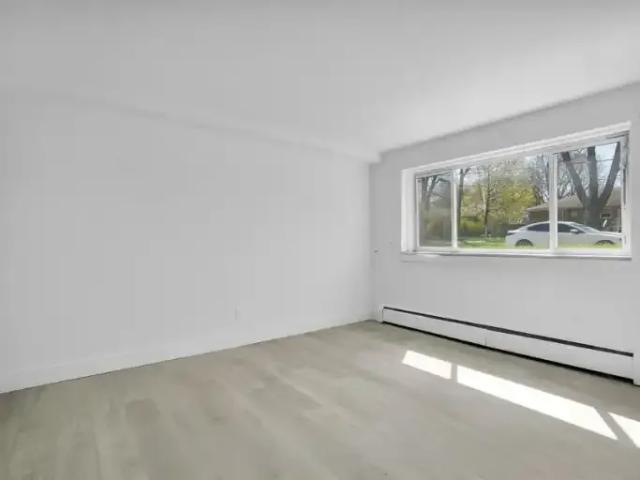 1 Bedroom Apartment London ON 100084708