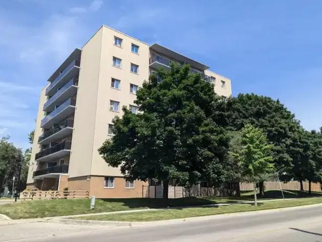 1 Bedroom Apartment London ON 101948323