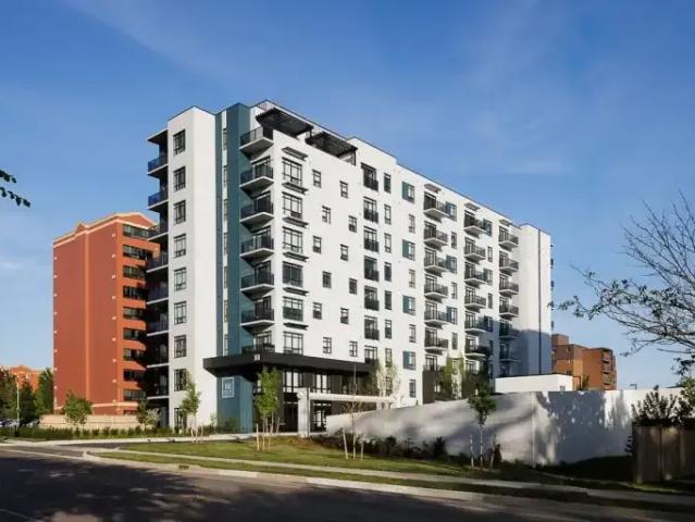 1 Bedroom Apartment London ON 103243610