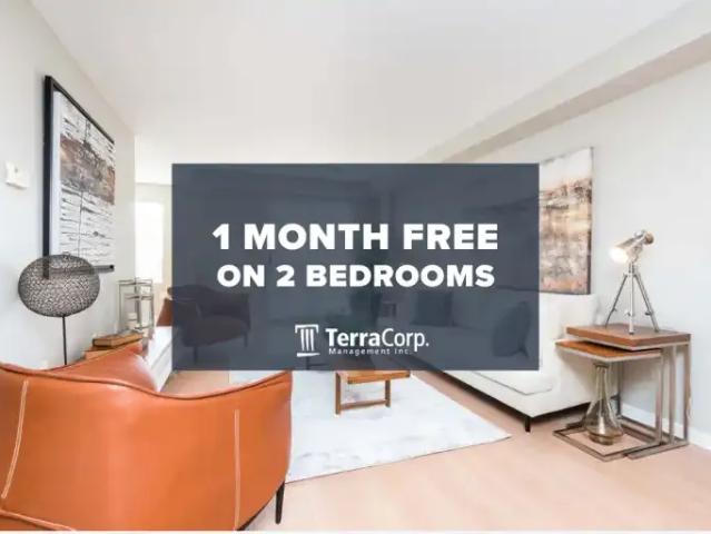 1 Bedroom Apartment London ON 104710766