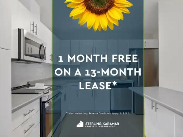1 Bedroom Apartment London ON 105149888