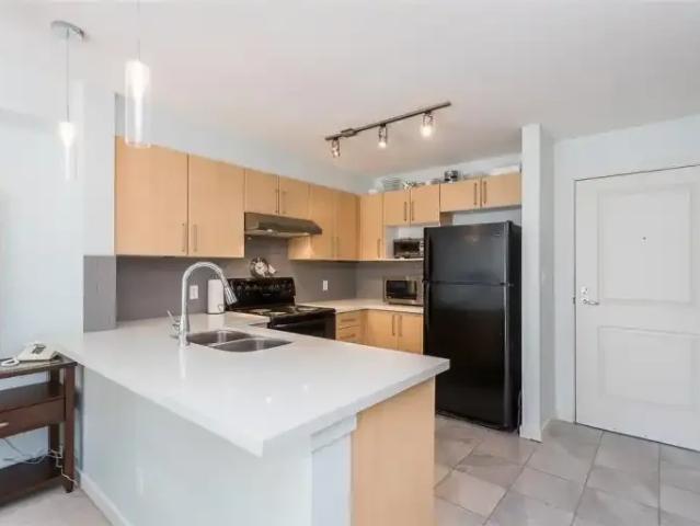 1 Bedroom Apartment Port Coquitlam BC 103355203