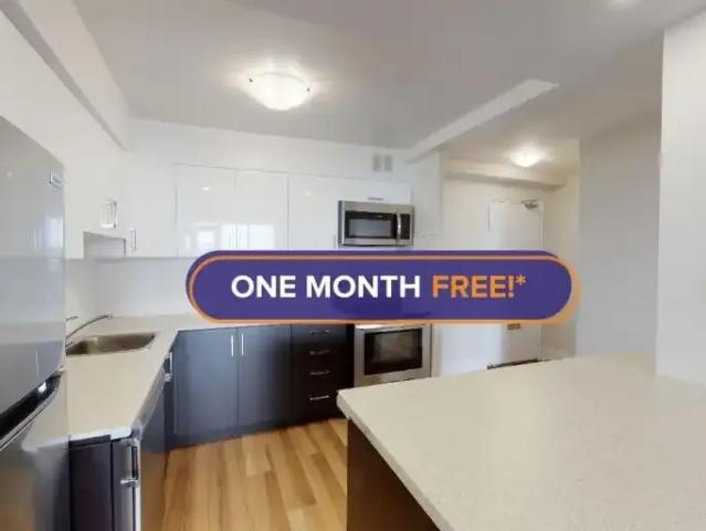 1 Bedroom Apartment St. Catharines ON LS101474679