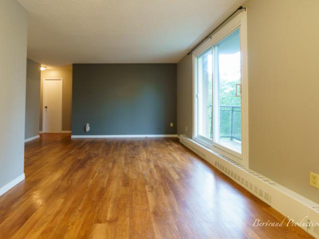 1 Bedroom Apartment Sudbury ON LS96586689