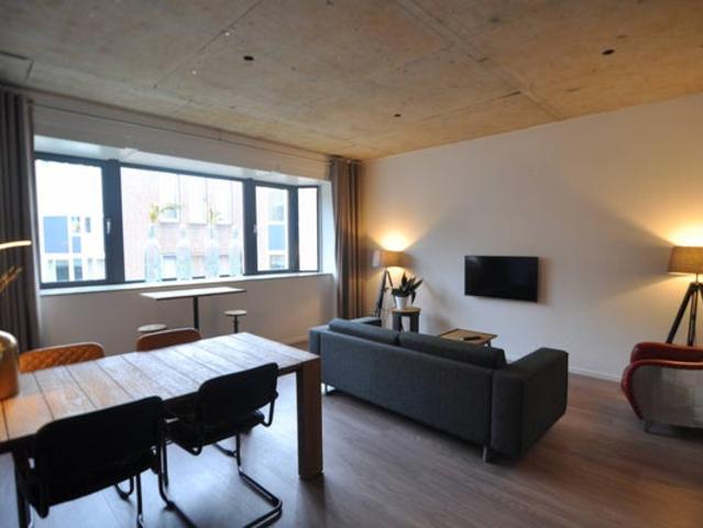 1 bedroom Apartment Surface Area: 56m2 Furnished Available from: 2026 08 27