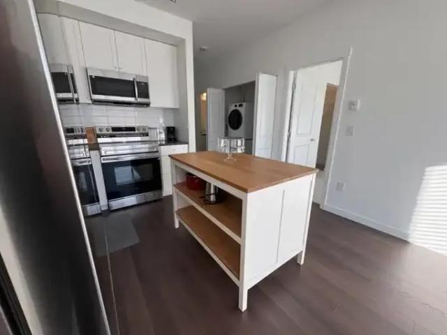 1 Bedroom Apartment Surrey BC 100171856