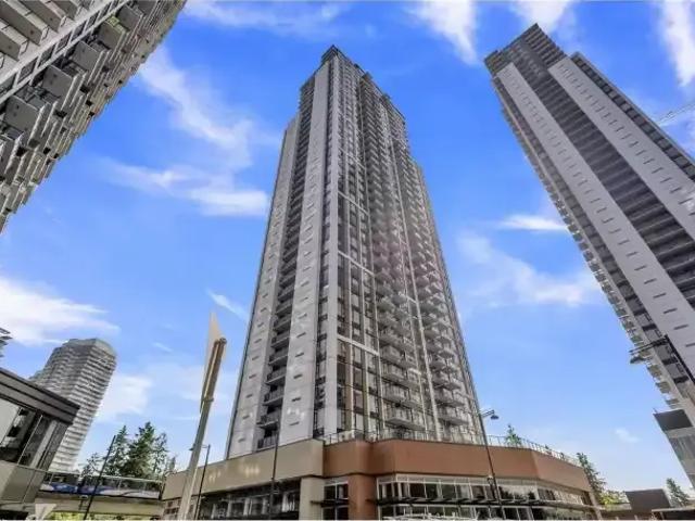 1 Bedroom Apartment Surrey BC 103569217