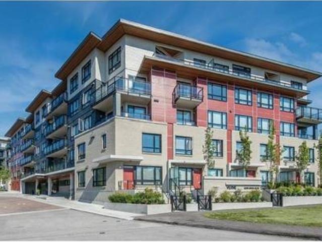 1 Bedroom Apartment Surrey BC 103650718