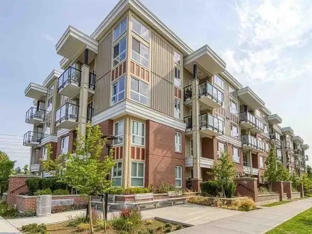 1 Bedroom Apartment Surrey BC 103338600