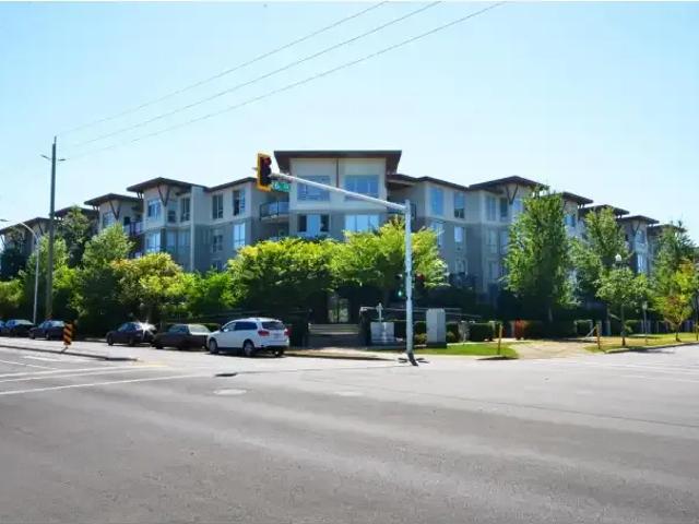 1 Bedroom Apartment Surrey BC 104941010