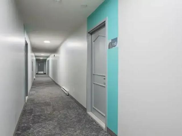 1 Bedroom Apartment Saint Laurent Montreal QC 96587429