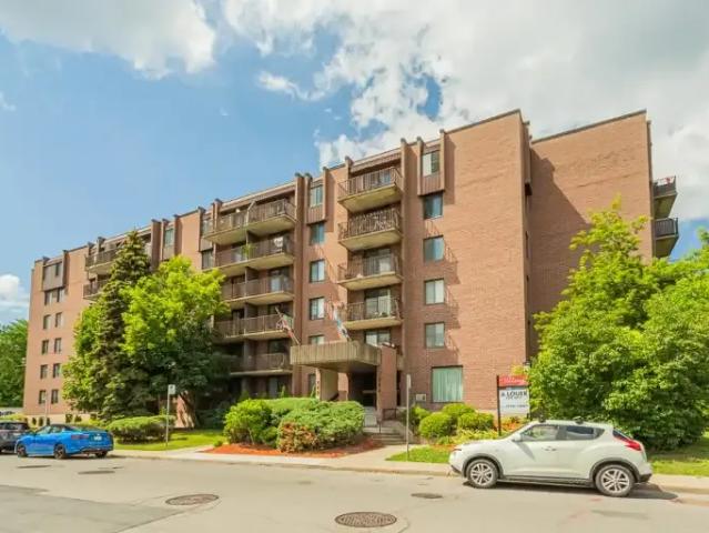 1 Bedroom Apartment Saint QC 104256671