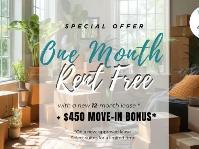 1 Bedroom Apartment Toronto ON 104141568