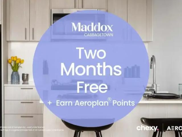 1 Bedroom Apartment Toronto ON 104681386