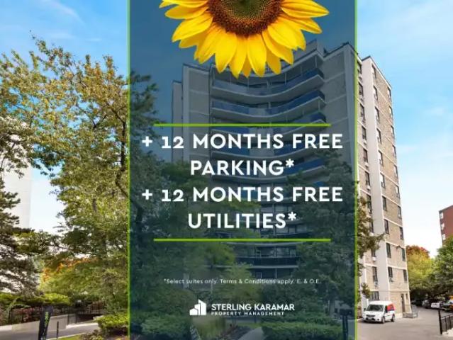 1 Bedroom Apartment Toronto ON 104888301