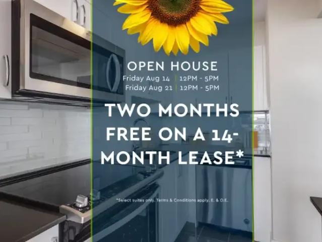 1 Bedroom Apartment Toronto ON 105086817