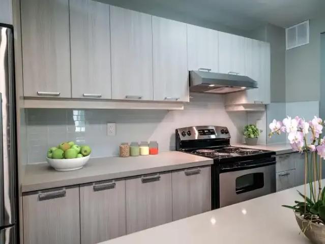 1 Bedroom Apartment Toronto ON 101261886