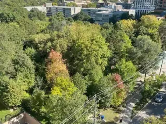 1 Bedroom Apartment Toronto ON 101506736