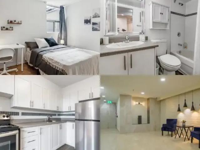 1 Bedroom Apartment Toronto ON 101687642