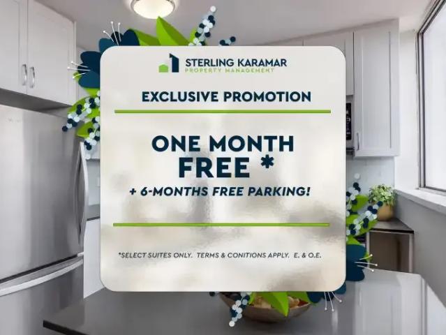 1 Bedroom Apartment Toronto ON 102845629