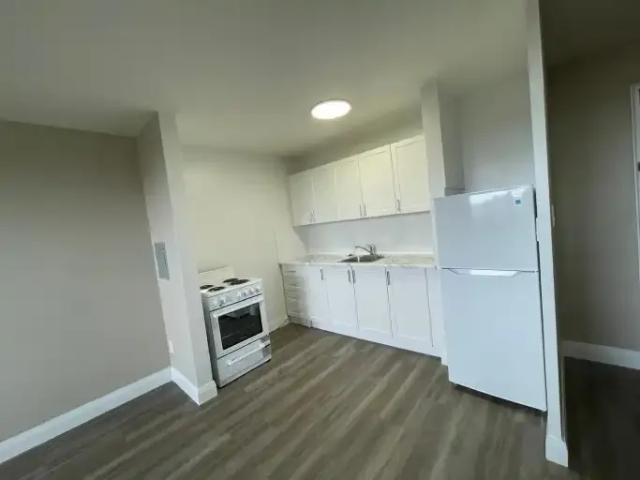 1 Bedroom Apartment Toronto ON 103411237