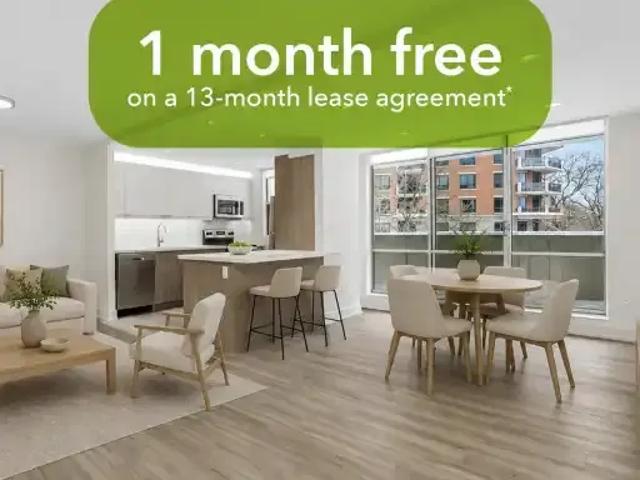 1 Bedroom Apartment Toronto ON 103574216