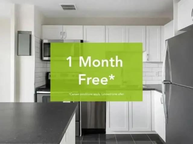 1 Bedroom Apartment Toronto ON 103574510