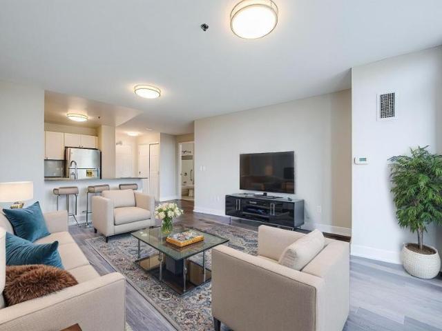 1 Bedroom Apartment Toronto ON 96277115