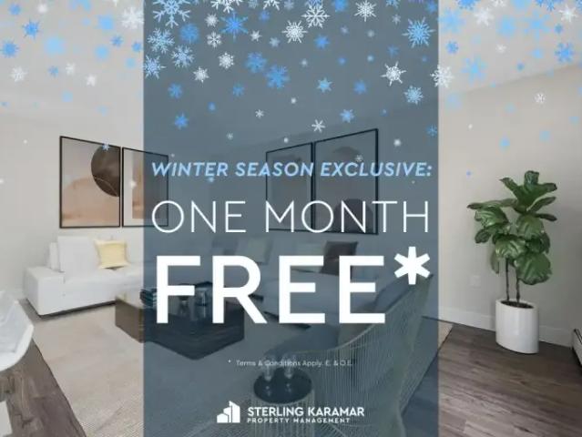 1 Bedroom Apartment Toronto ON 98568608