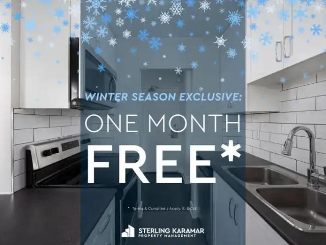 1 Bedroom Apartment Toronto ON 98374748
