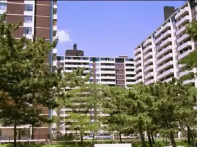 1 Bedroom Apartment Toronto ON 99718129