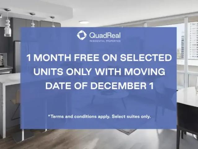 1 Bedroom Apartment Toronto ON LS96248435