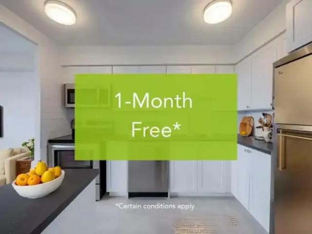 1 Bedroom Apartment Toronto ON LS96463552