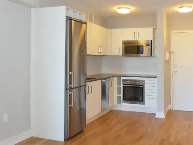1 Bedroom Apartment Toronto ON LS102305947