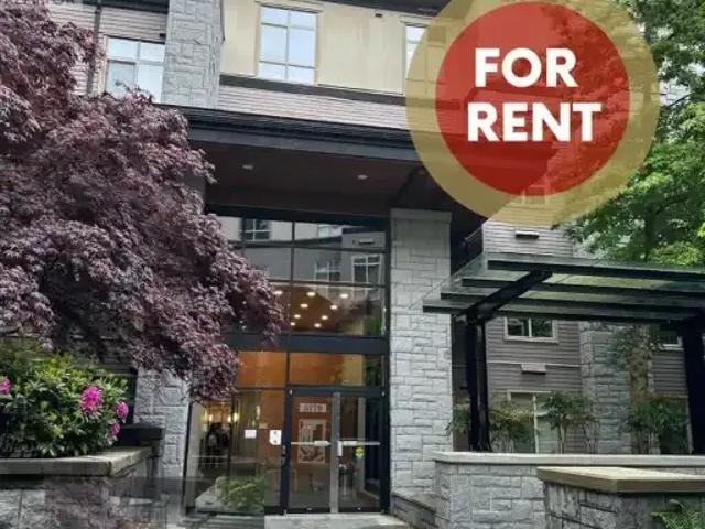 1 Bedroom Apartment Vancouver BC 103920642