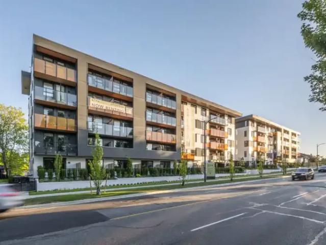 1 Bedroom Apartment Vancouver BC 104753423