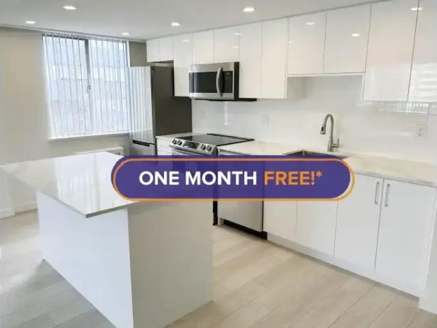 1 Bedroom Apartment Vancouver BC 105185406
