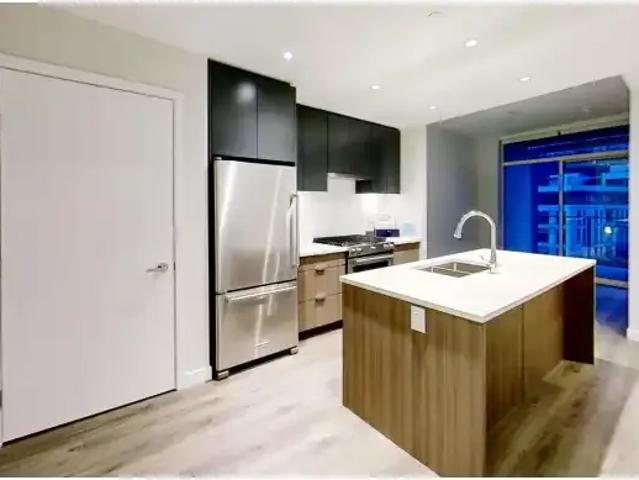 1 Bedroom Apartment Vancouver BC LS100444396