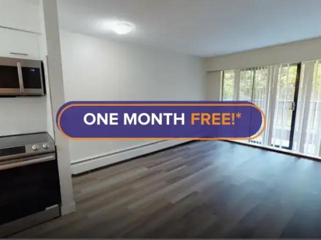 1 Bedroom Apartment Vancouver BC LS102845579